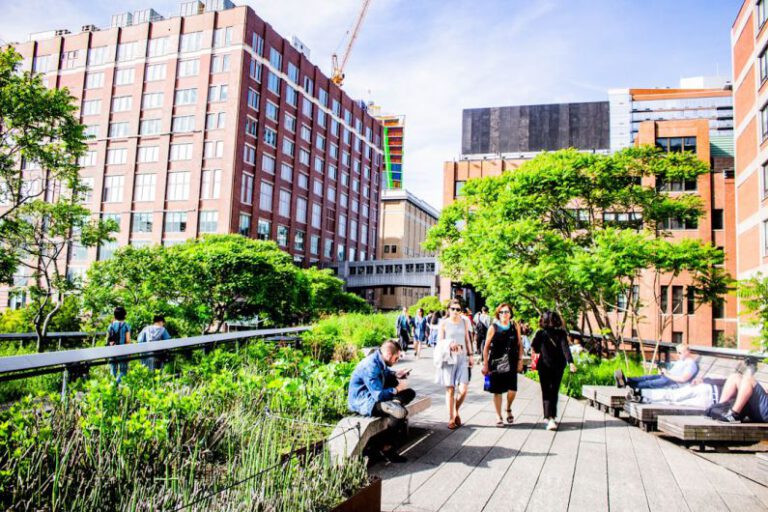 How Did the High Line Transform Urban Renewal?