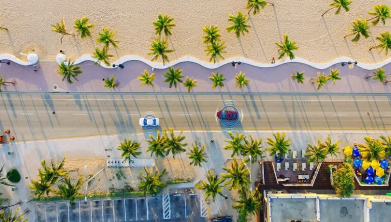 IoT Urban - an aerial view of a beach with palm trees
